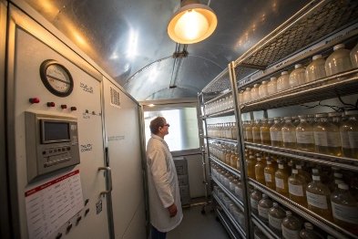 Technician monitors stability chamber with bottled samples for controlled temperature storage testing